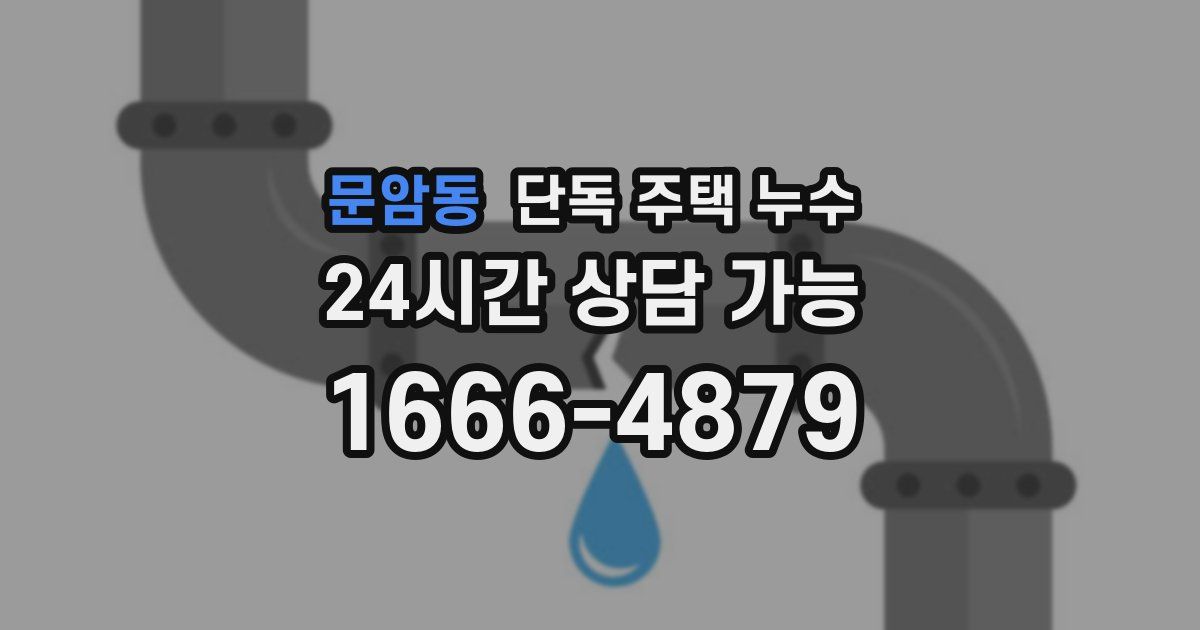 문암동 단독 주택 누수