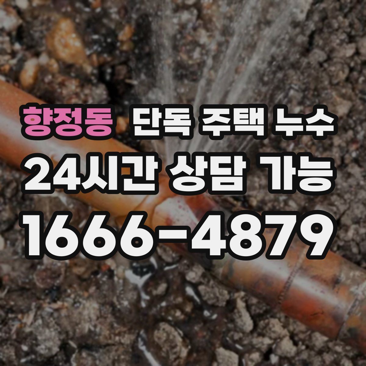 향정동 단독 주택 누수 욕실 천장에 물방울 맺힐 때 원인 추정