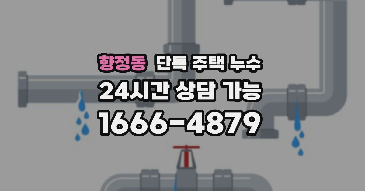 향정동 단독 주택 누수