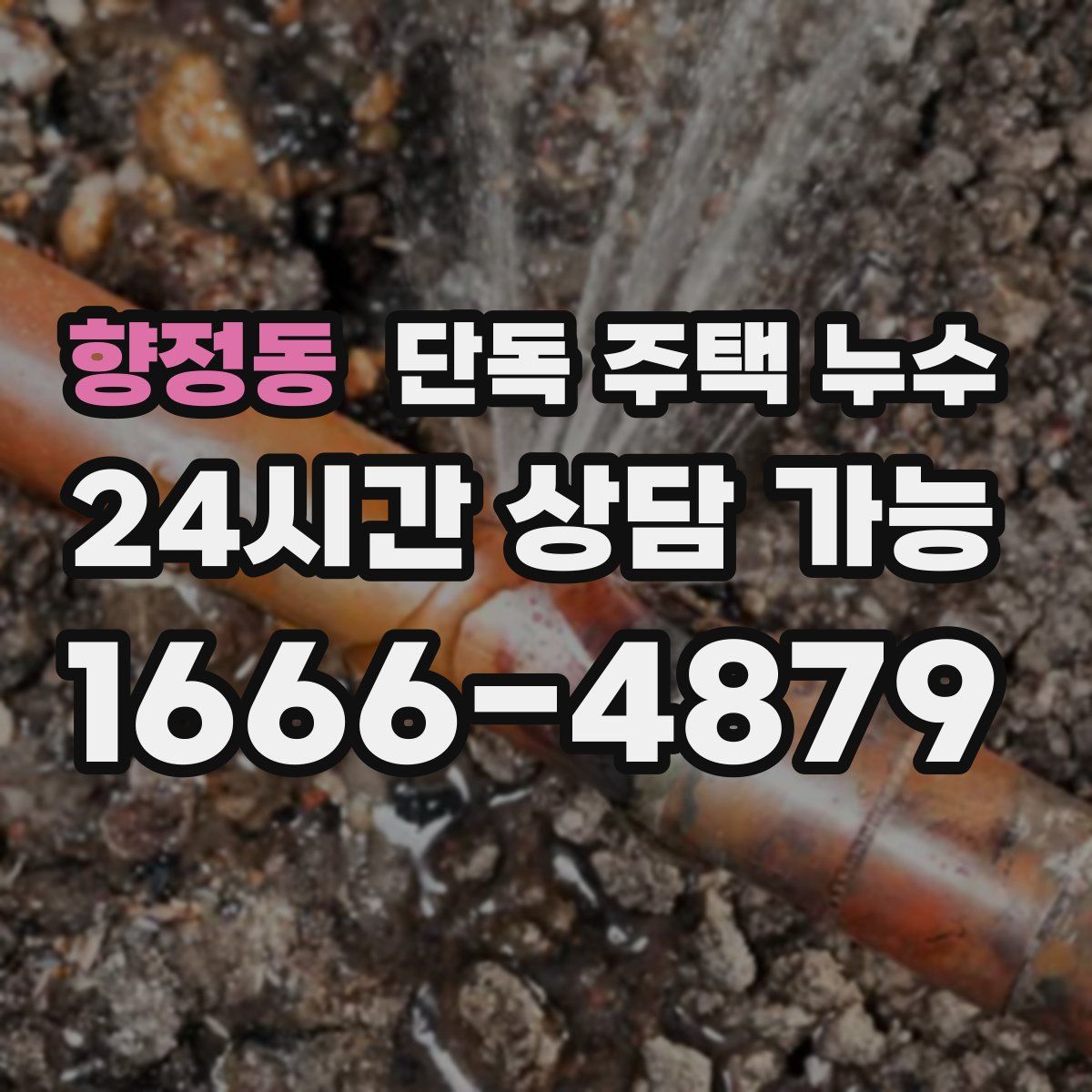 향정동 단독 주택 누수