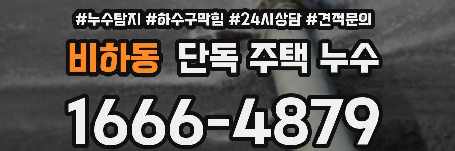 비하동 단독 주택 누수