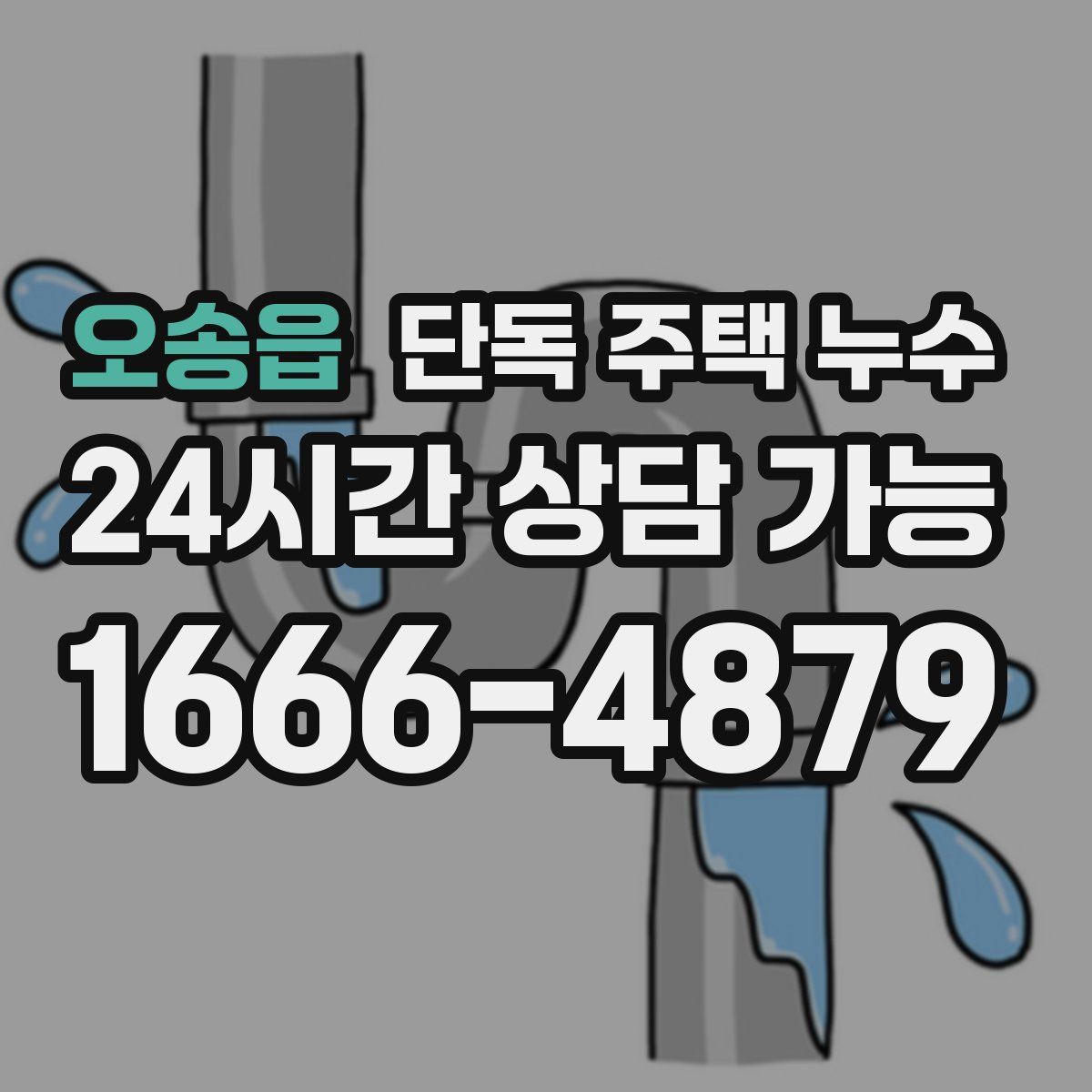 오송읍 단독 주택 누수