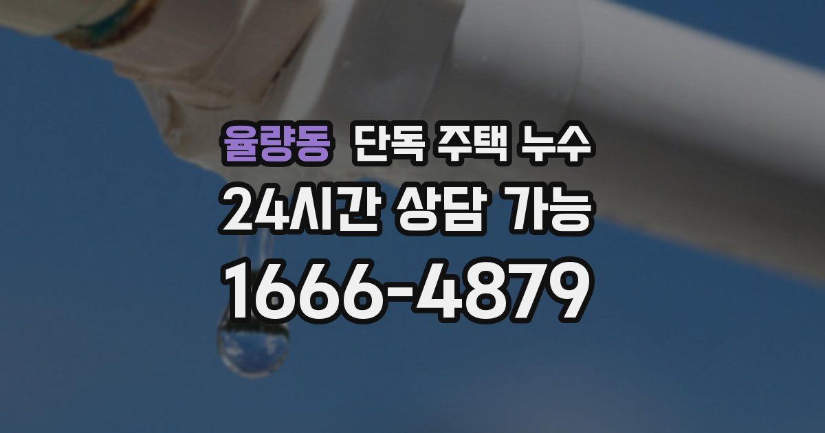 율량동 단독 주택 누수