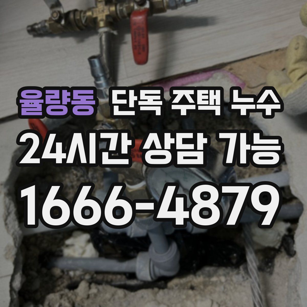 율량동 단독 주택 누수