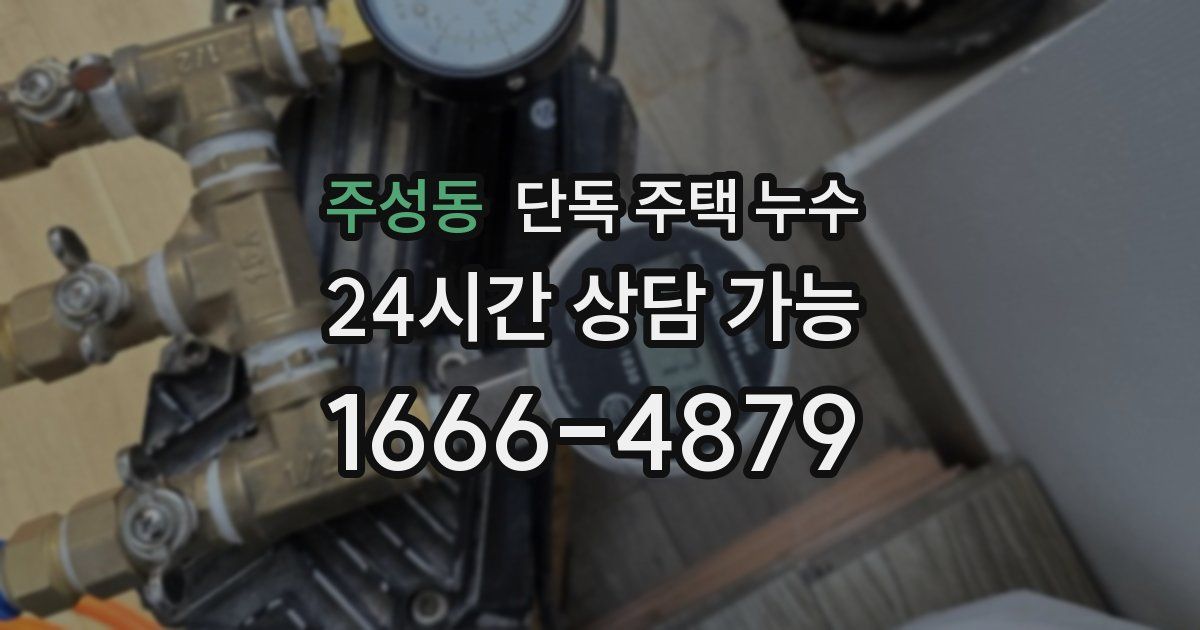 주성동 단독 주택 누수