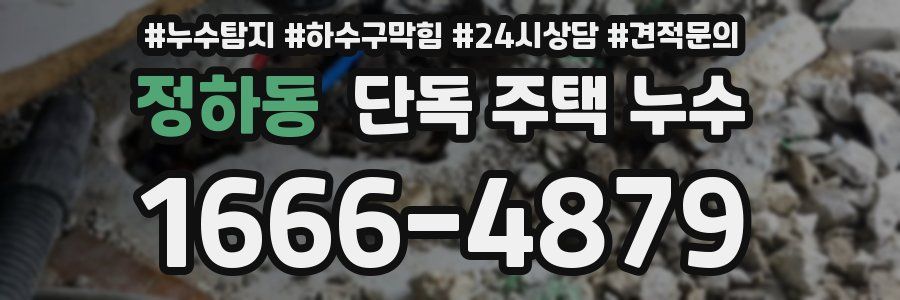 정하동 단독 주택 누수