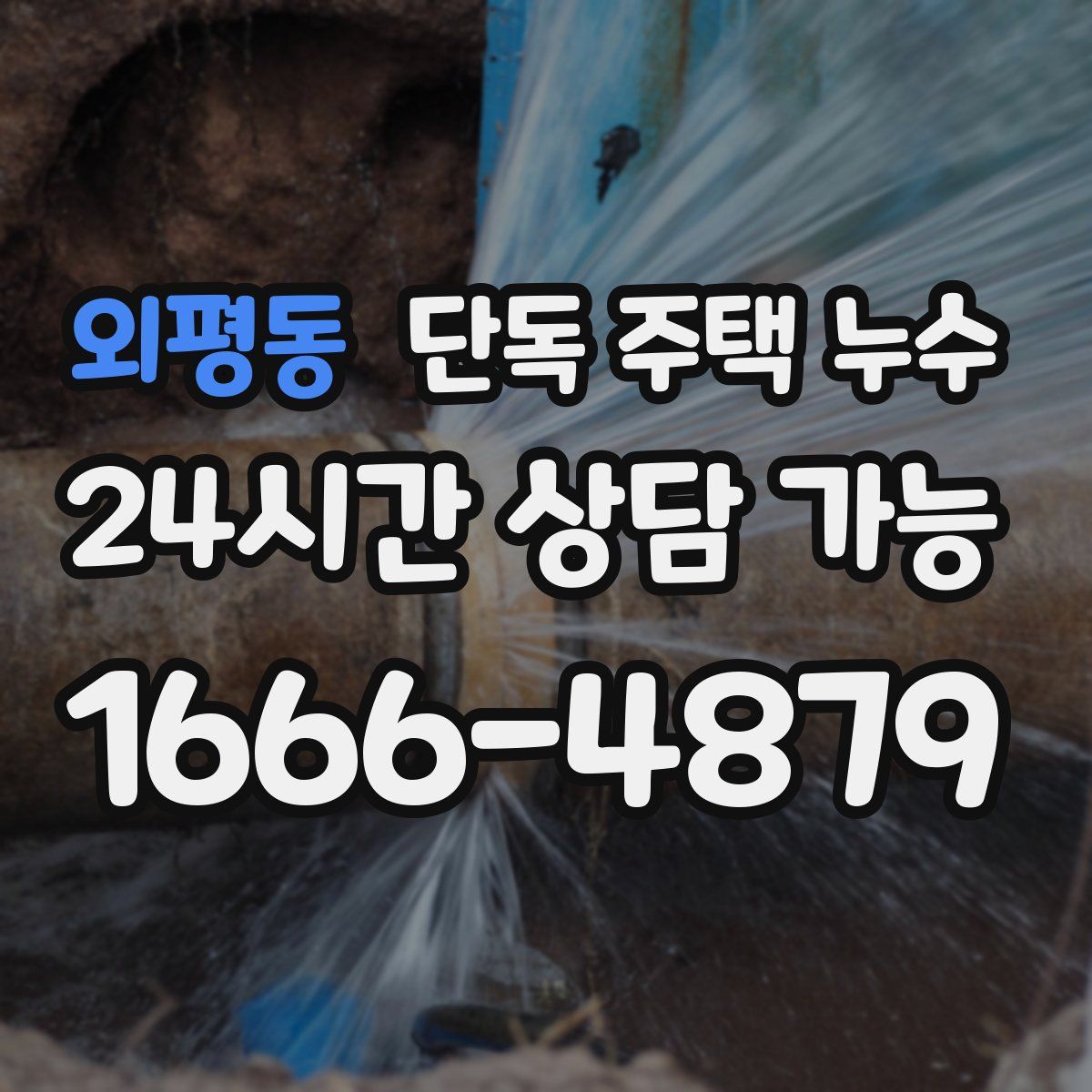 외평동 단독 주택 누수