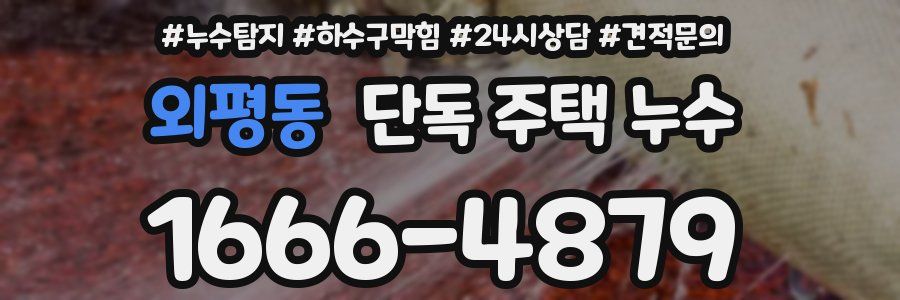 외평동 단독 주택 누수