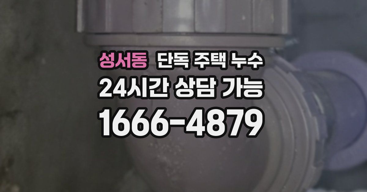 성서동 단독 주택 누수