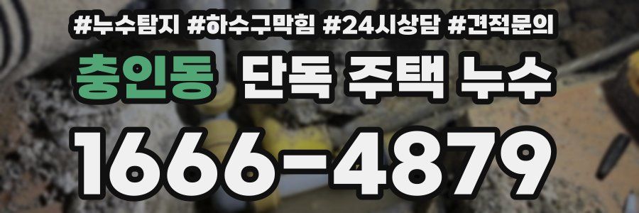 충인동 단독 주택 누수