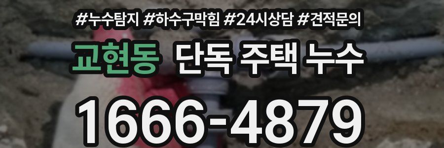 교현동 단독 주택 누수