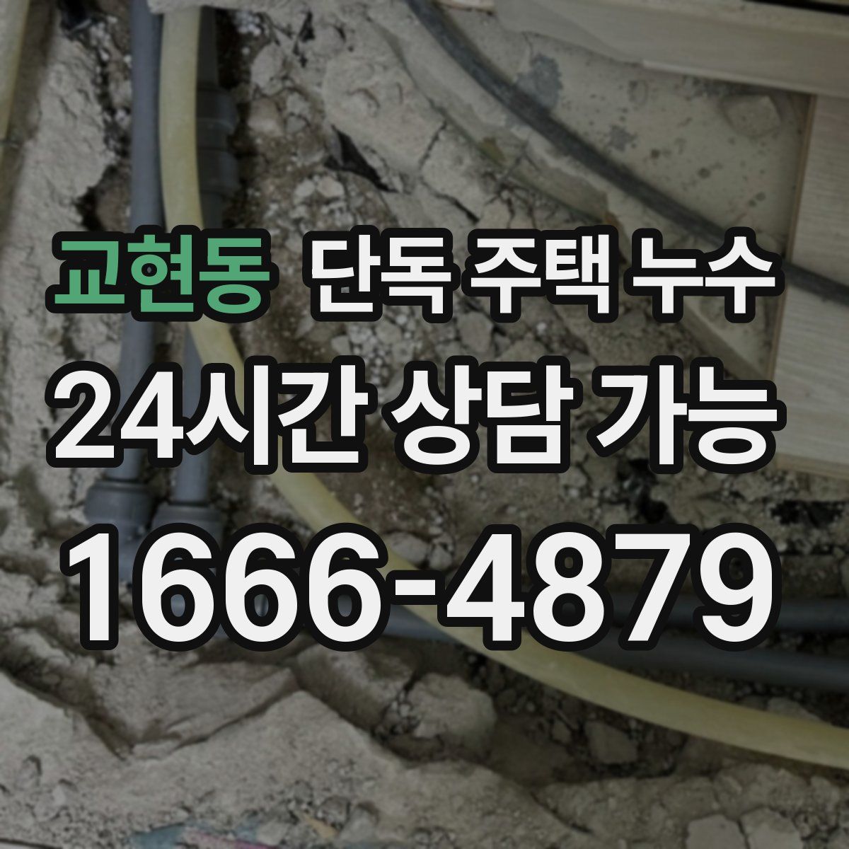 교현동 단독 주택 누수