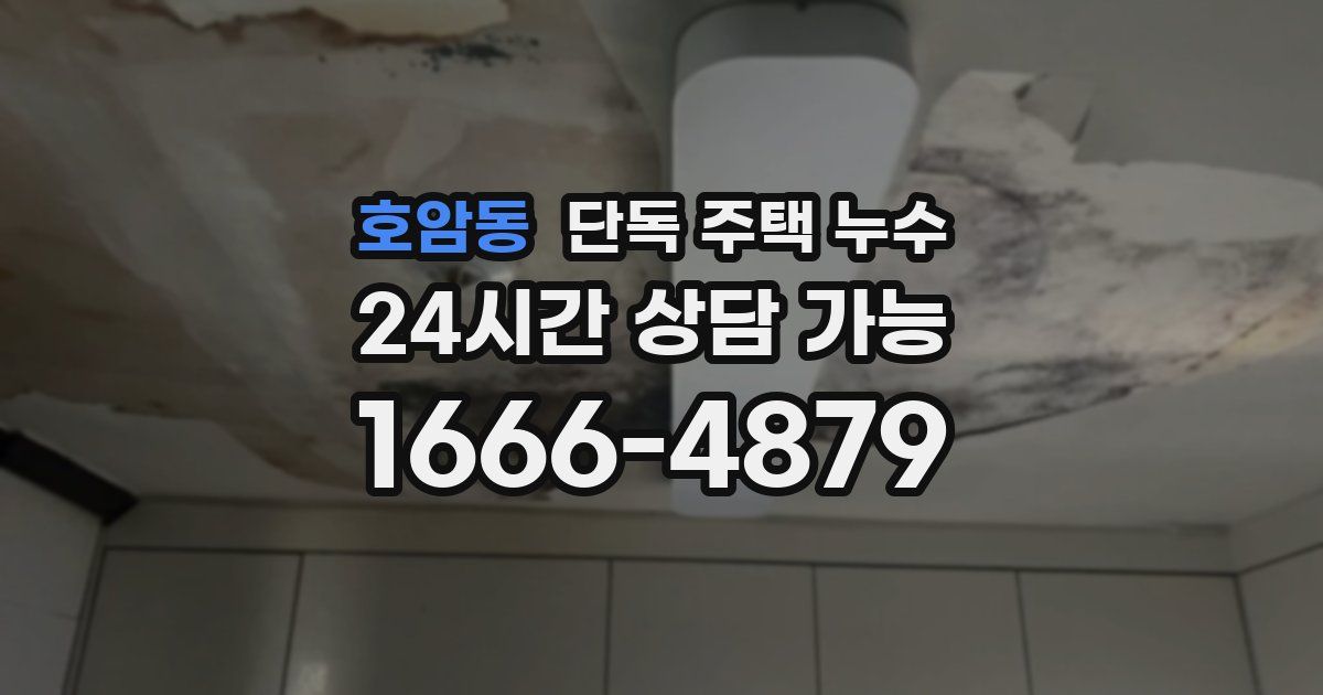 호암동 단독 주택 누수