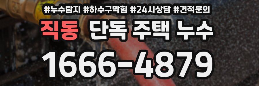 직동 단독 주택 누수