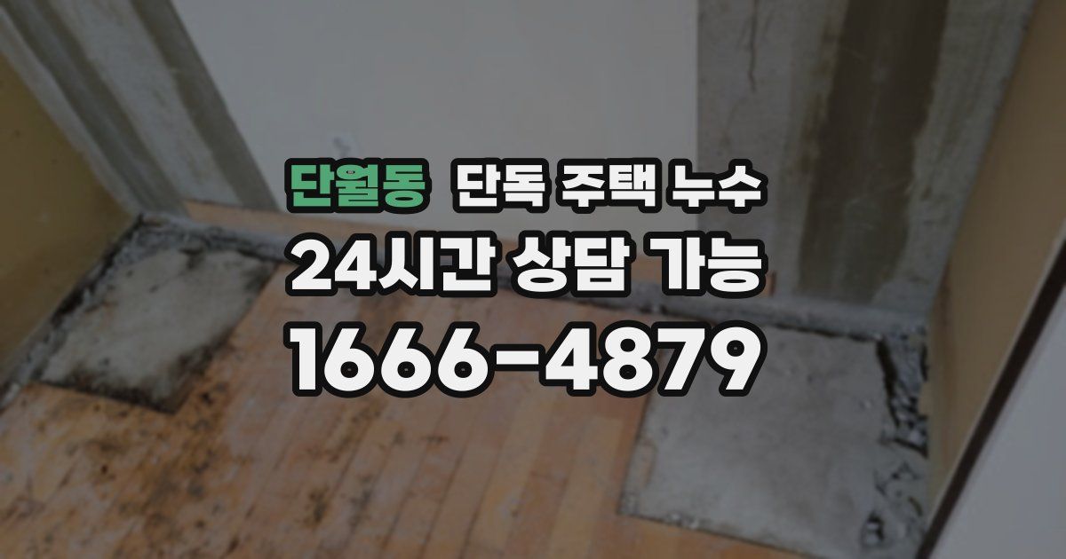 단월동 단독 주택 누수