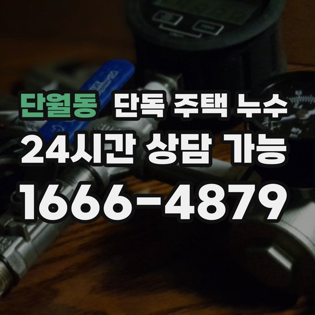 단월동 단독 주택 누수