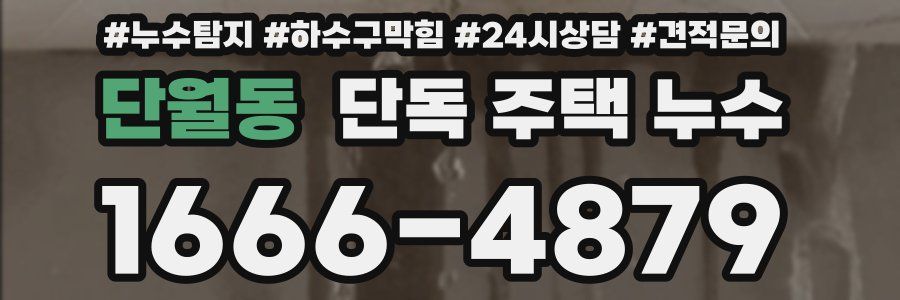 단월동 단독 주택 누수