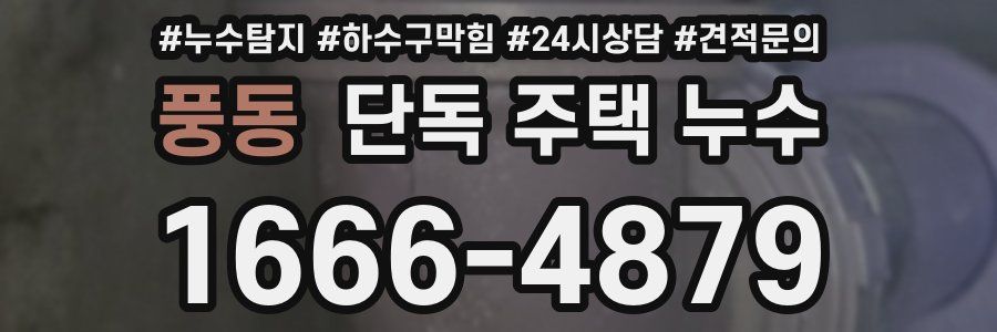 풍동 단독 주택 누수