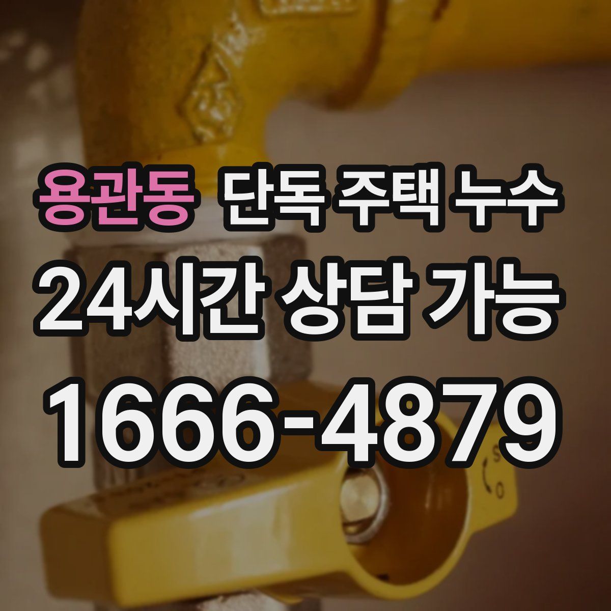 용관동 단독 주택 누수