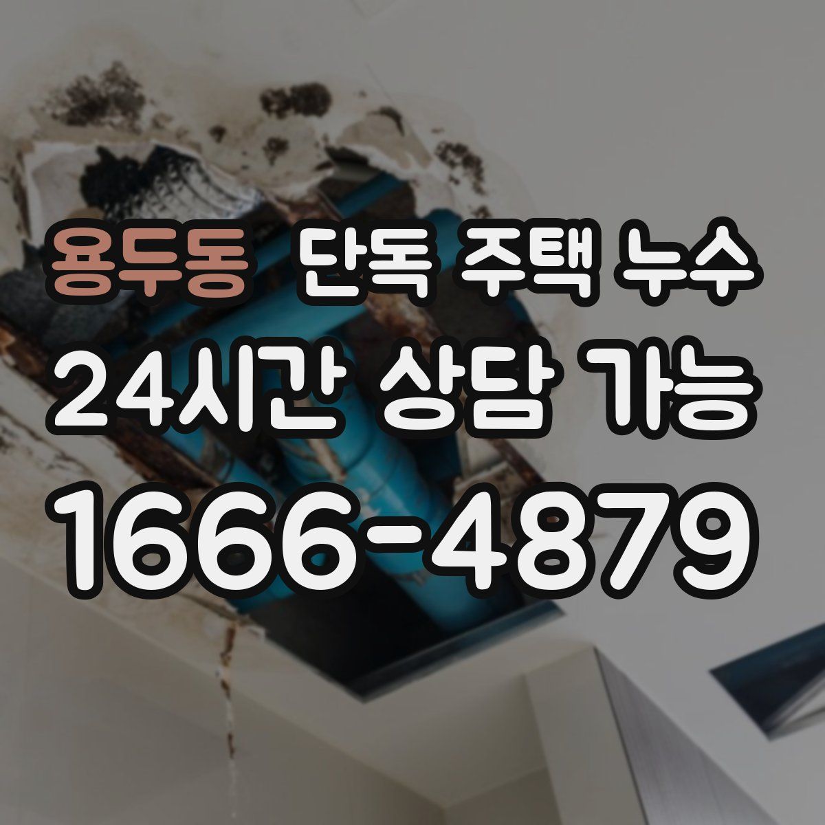 용두동 단독 주택 누수