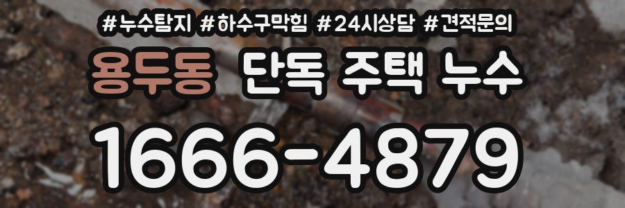 용두동 단독 주택 누수