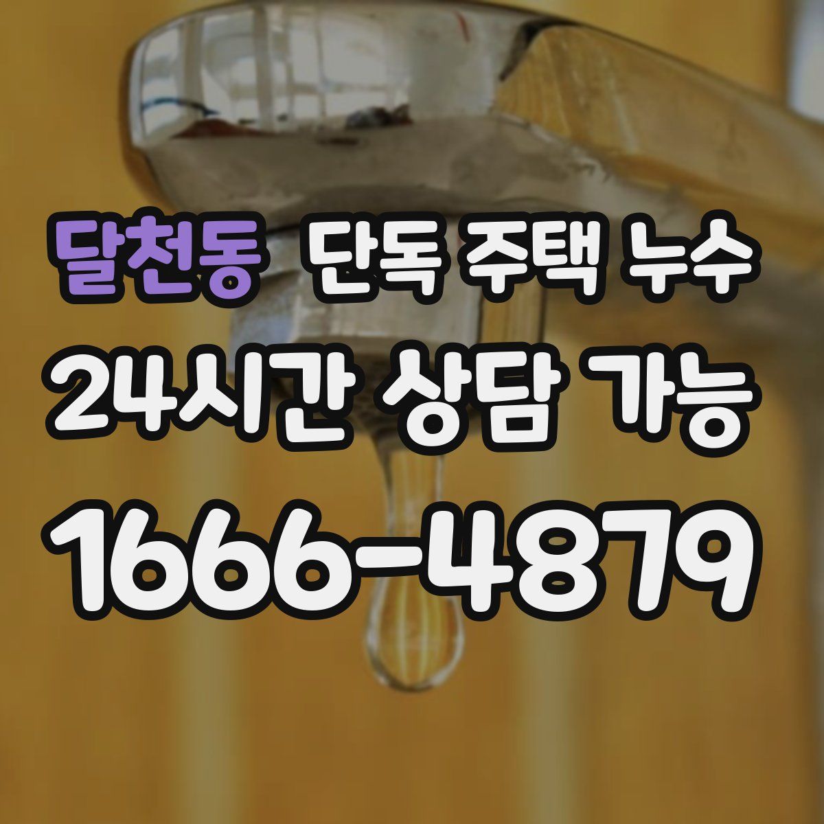 달천동 단독 주택 누수