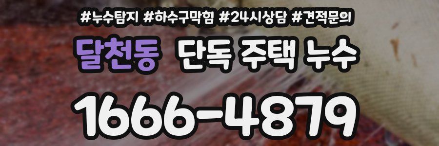 달천동 단독 주택 누수