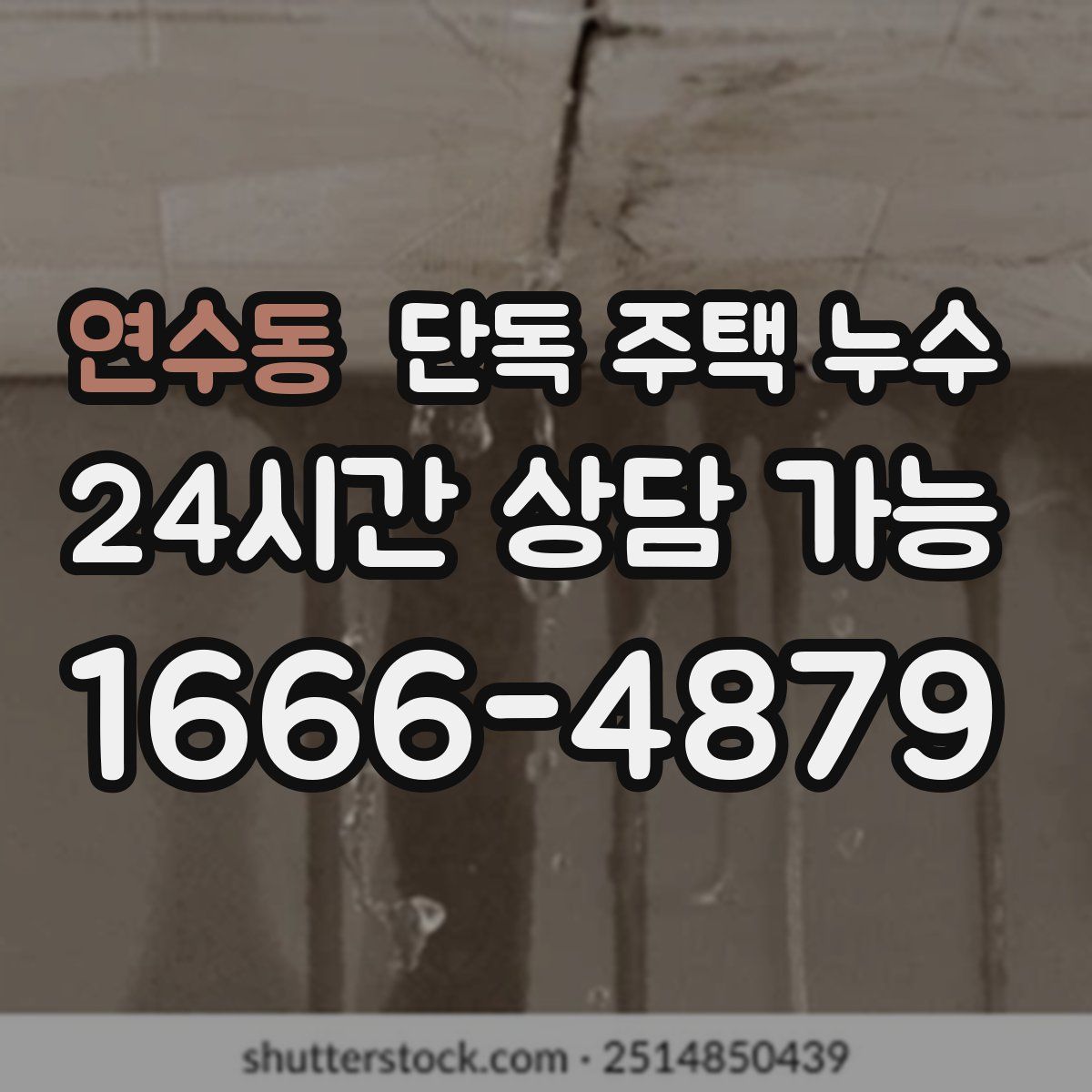 연수동 단독 주택 누수