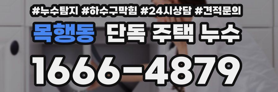 목행동 단독 주택 누수