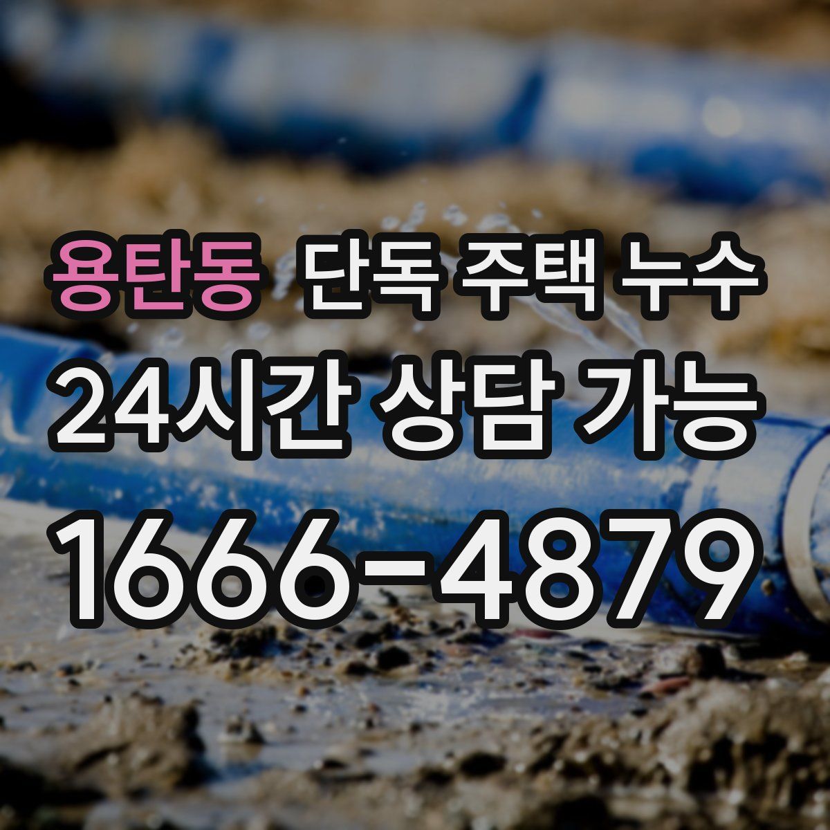 용탄동 단독 주택 누수