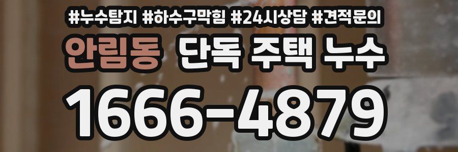 안림동 단독 주택 누수