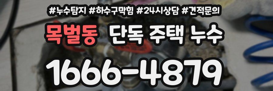 목벌동 단독 주택 누수