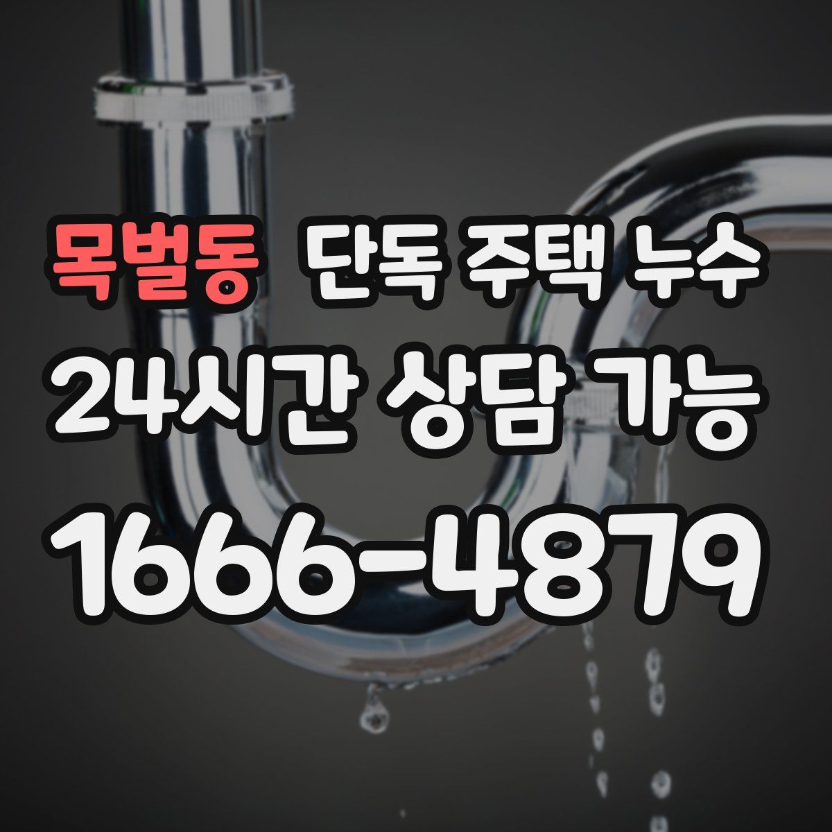 목벌동 단독 주택 누수