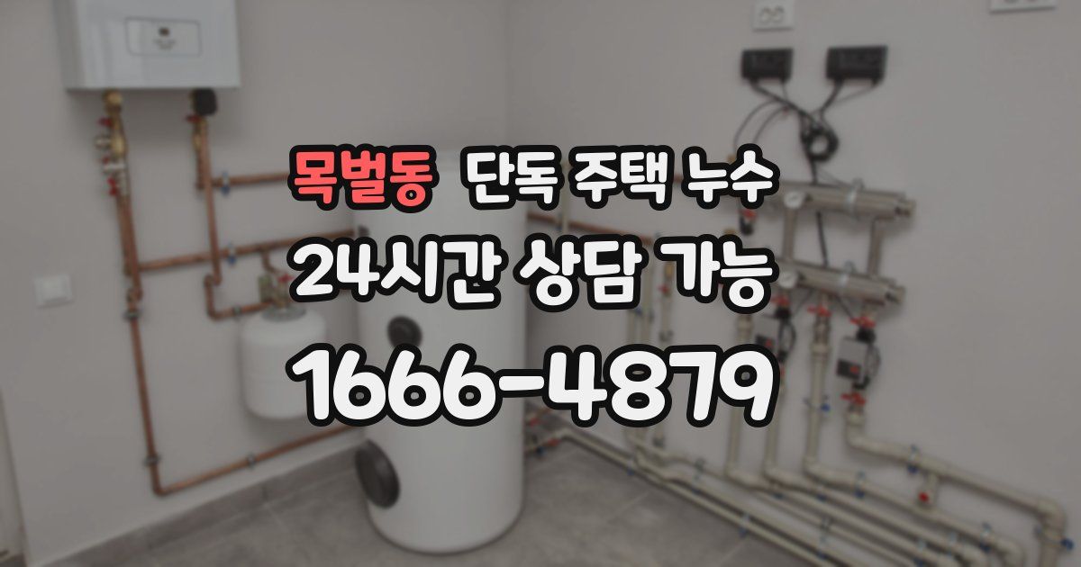 목벌동 단독 주택 누수