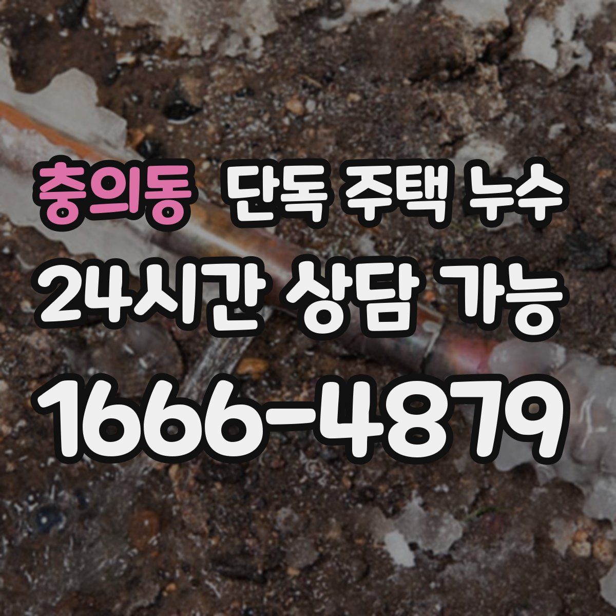 충의동 단독 주택 누수