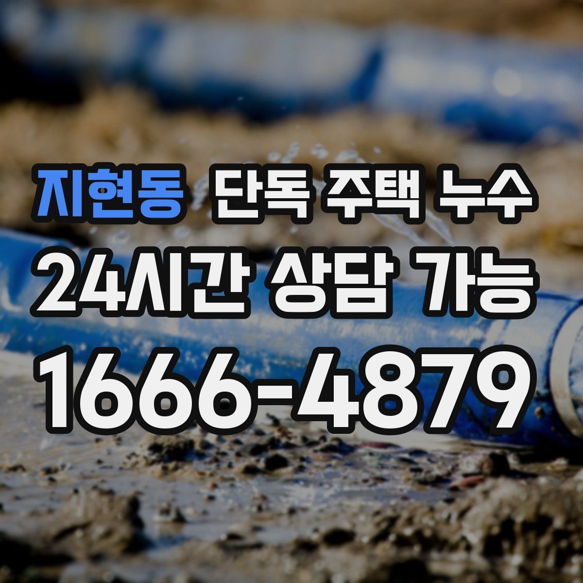 지현동 단독 주택 누수