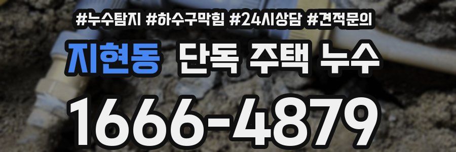 지현동 단독 주택 누수