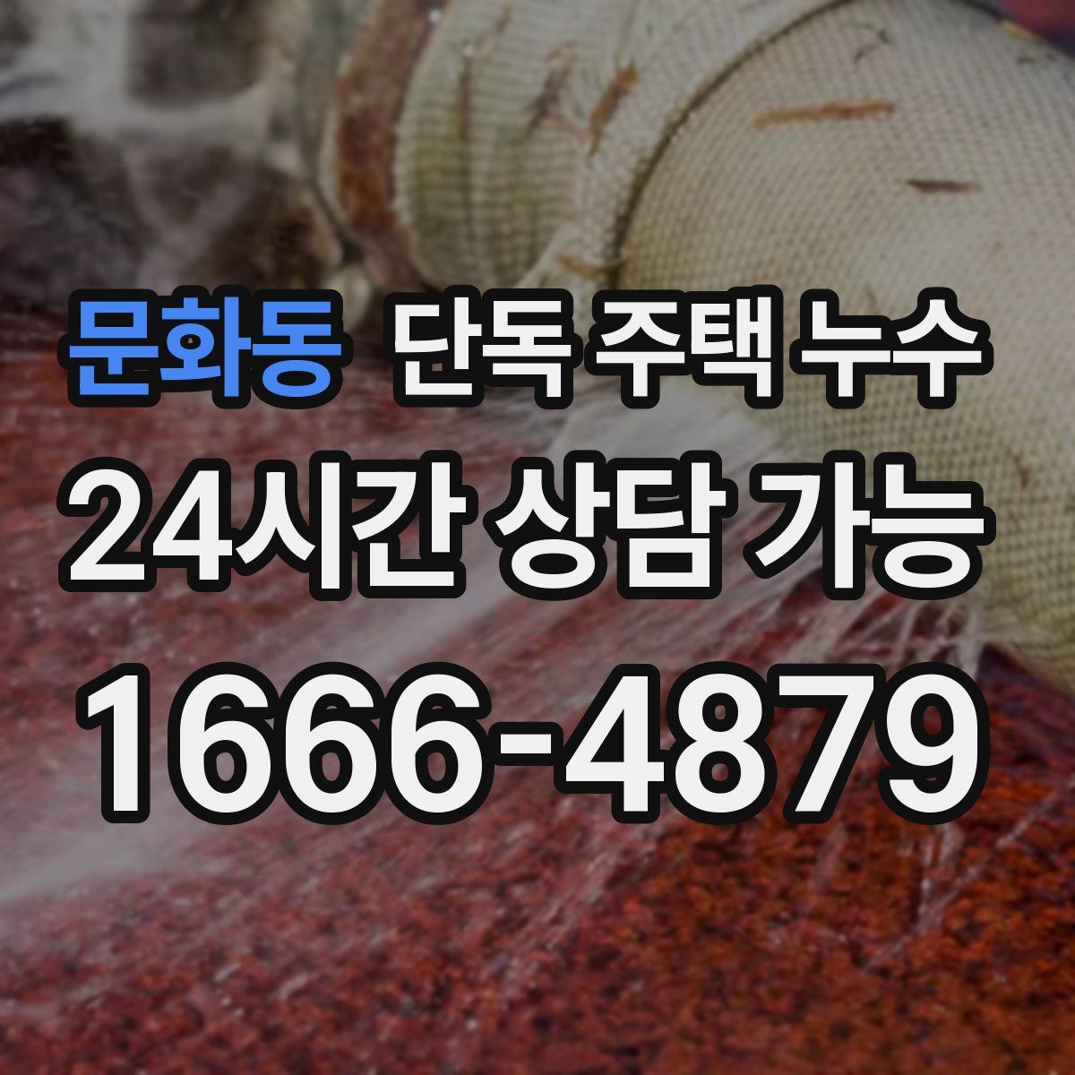 문화동 단독 주택 누수