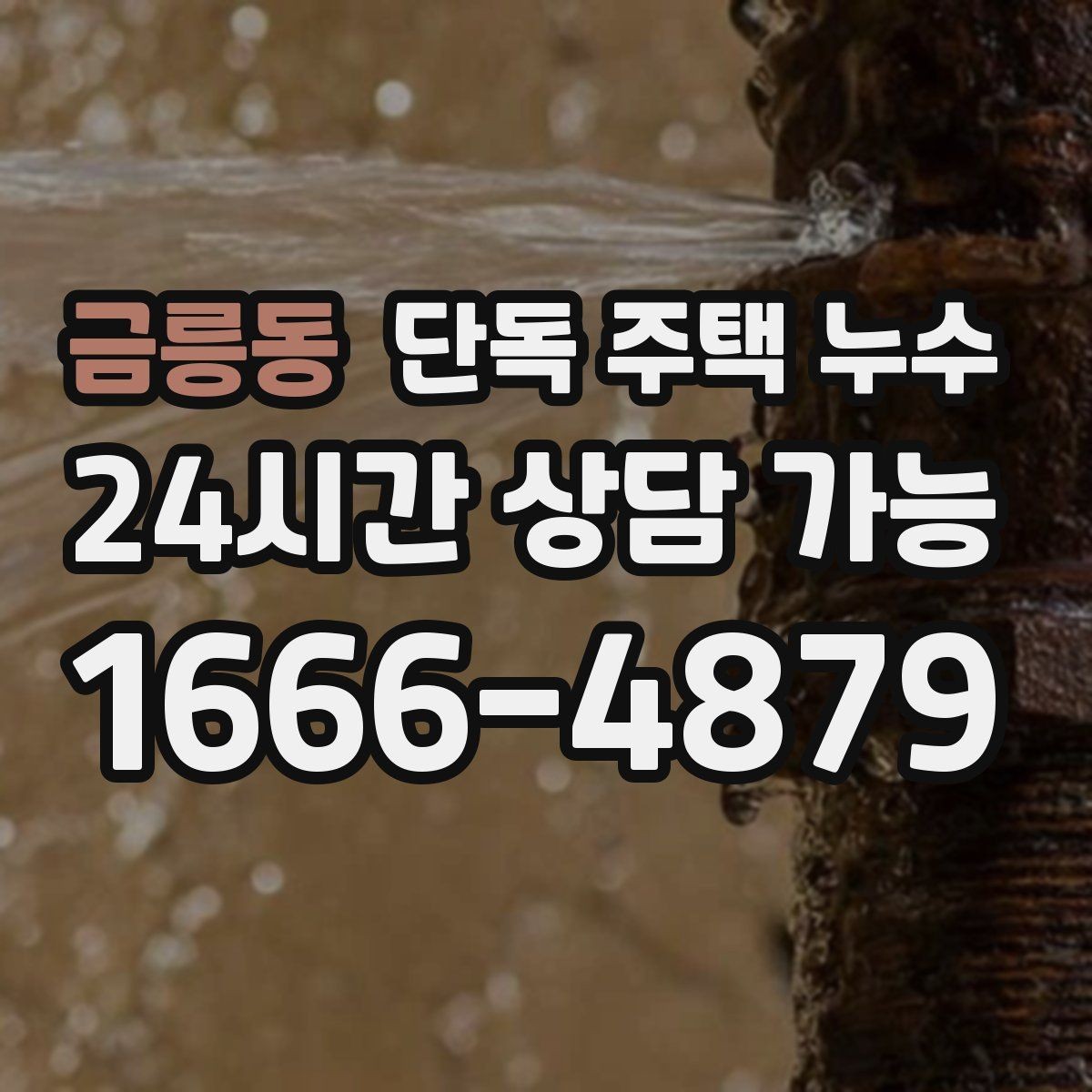 금릉동 단독 주택 누수 다용도실 바닥 물 고임 원인