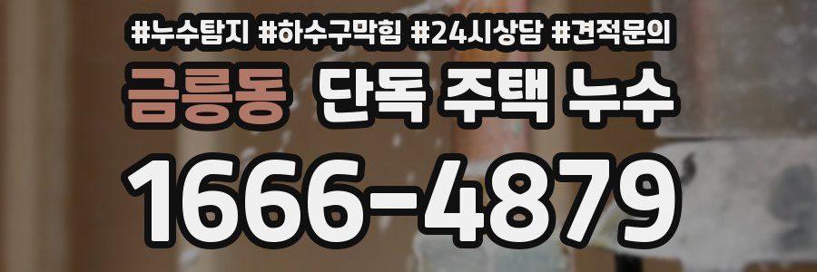 금릉동 단독 주택 누수