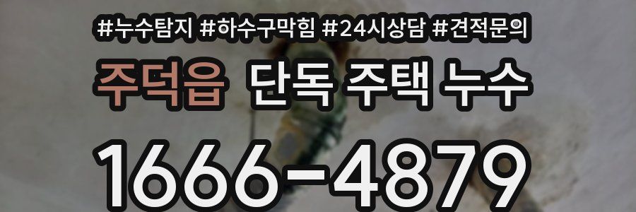 주덕읍 단독 주택 누수