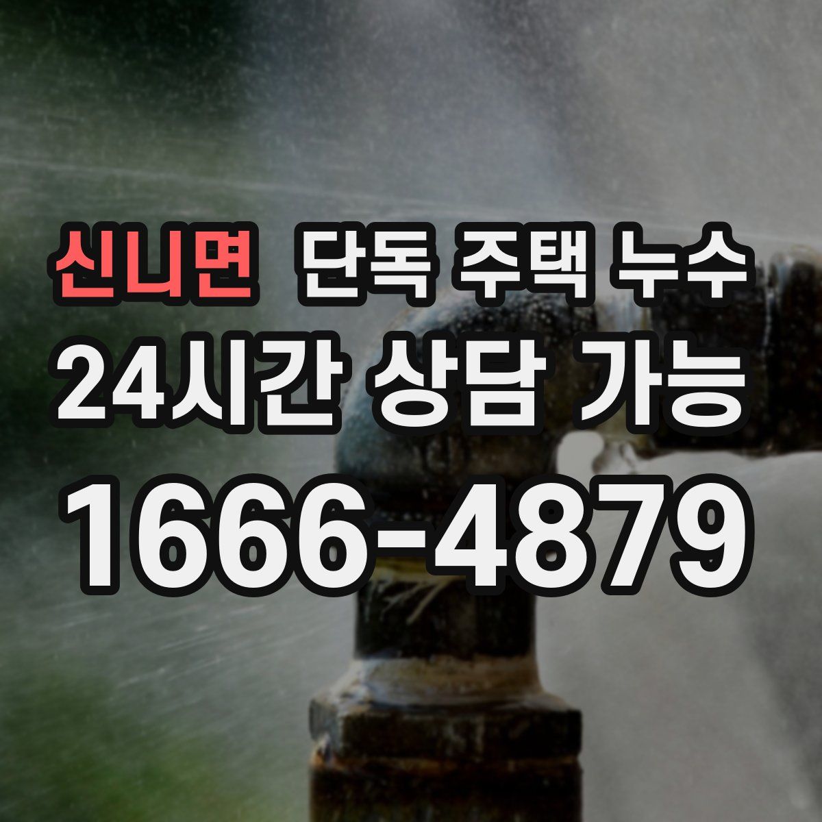 신니면 단독 주택 누수