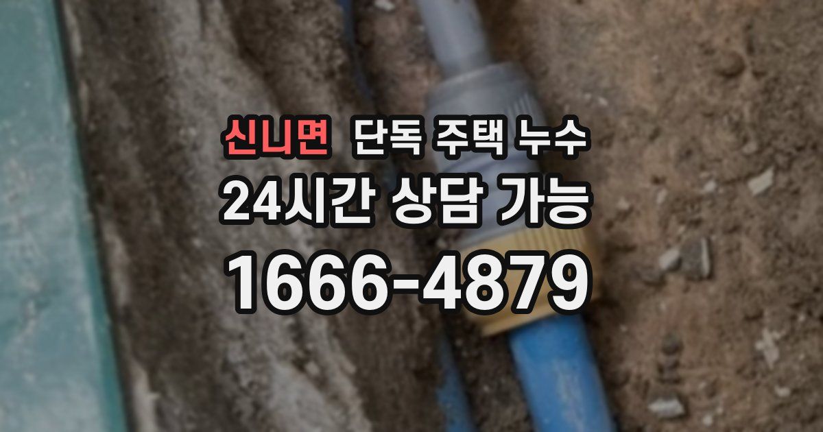 신니면 단독 주택 누수