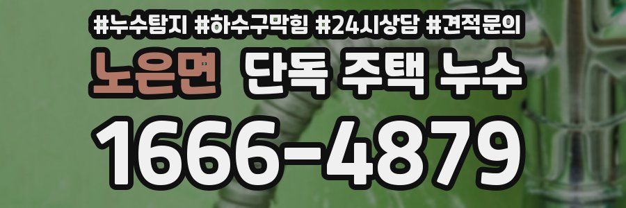 노은면 단독 주택 누수