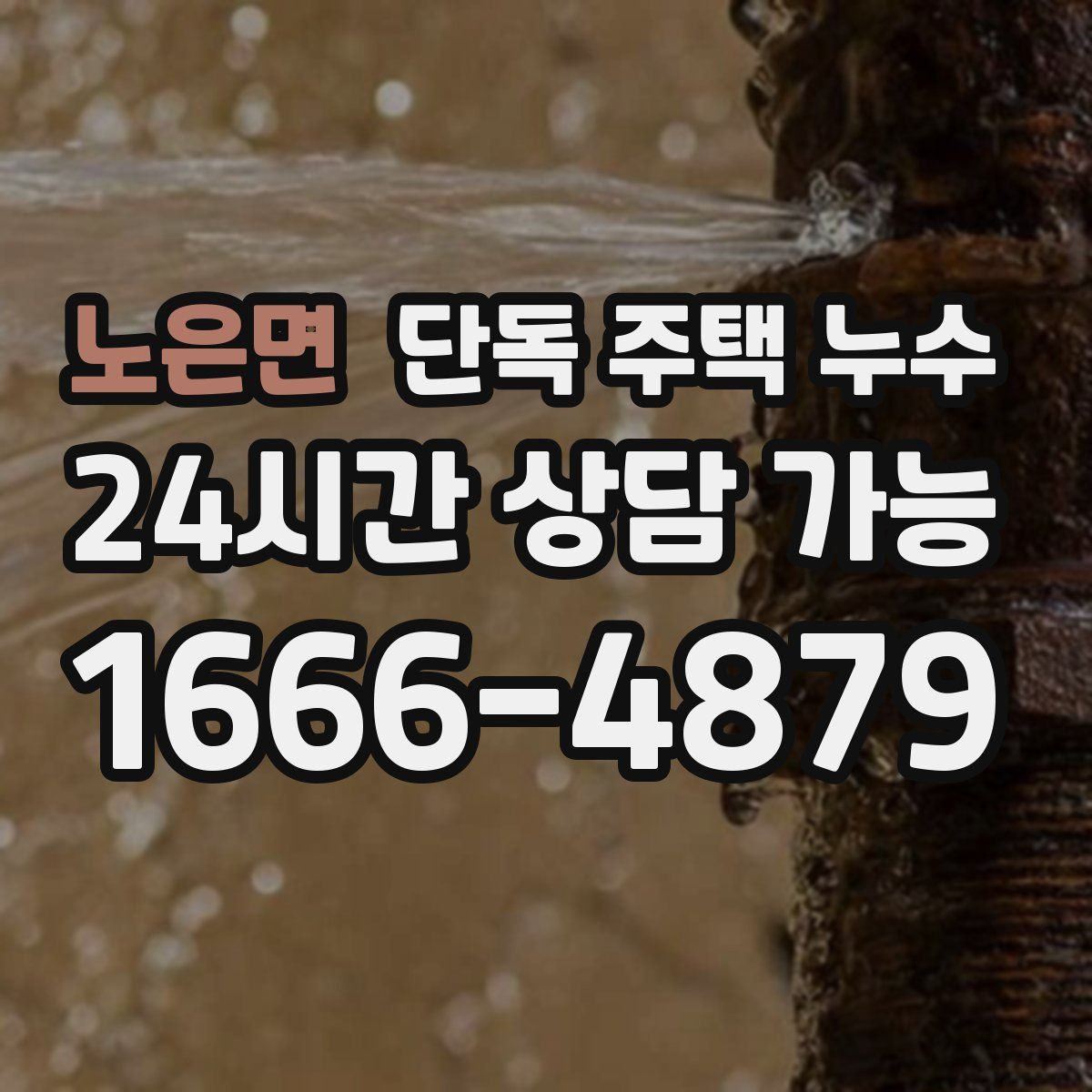 노은면 단독 주택 누수