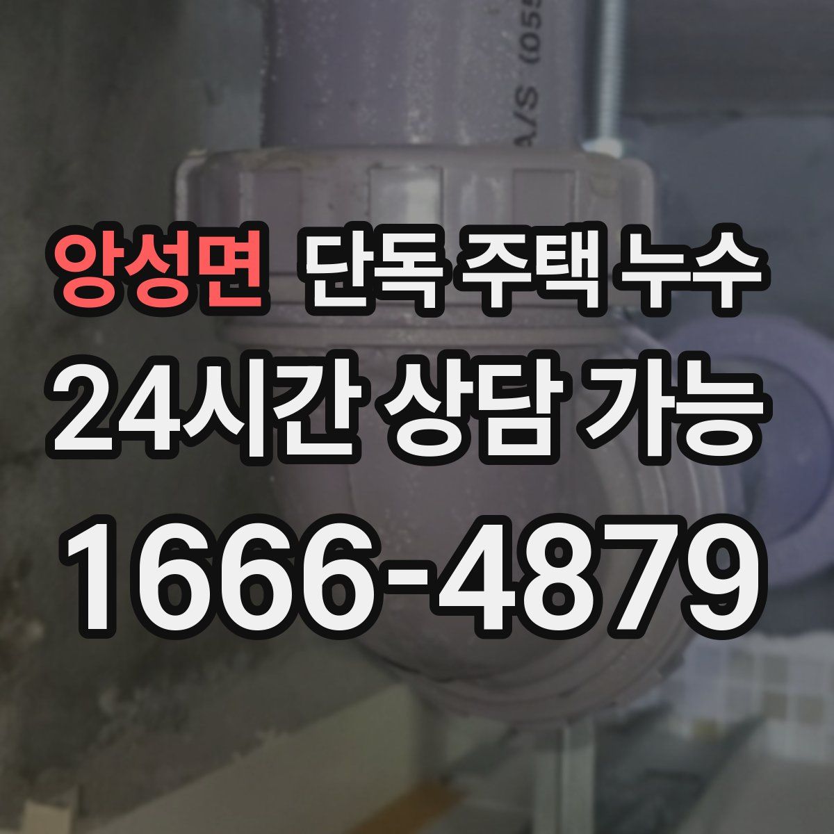 앙성면 단독 주택 누수