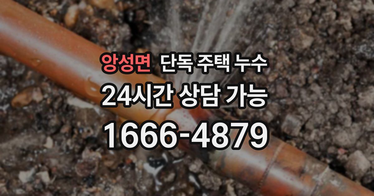 앙성면 단독 주택 누수