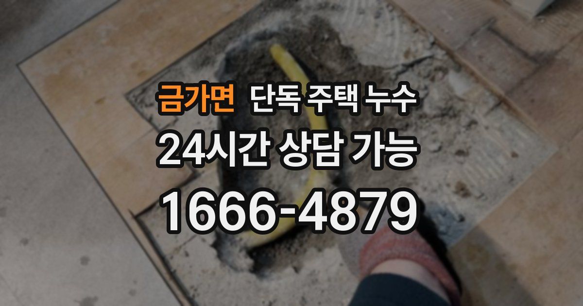 금가면 단독 주택 누수