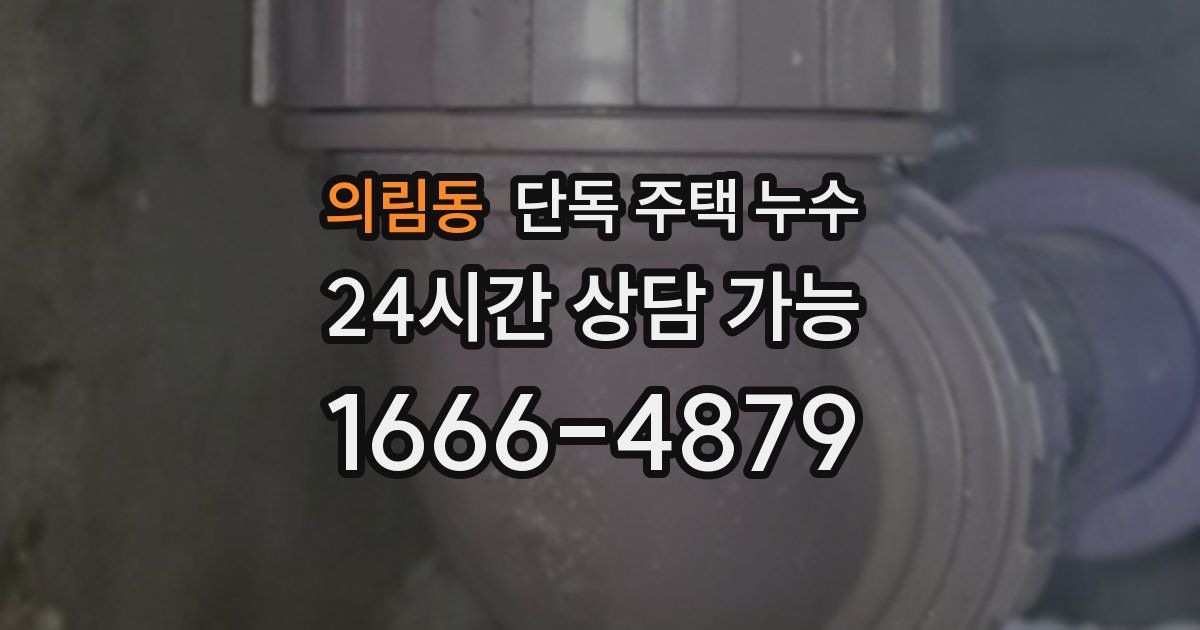 의림동 단독 주택 누수