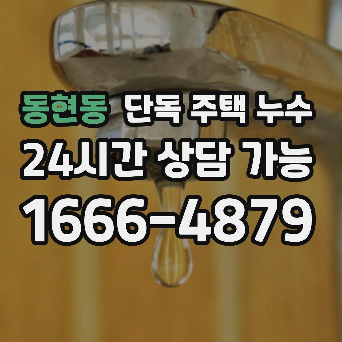 동현동 단독 주택 누수